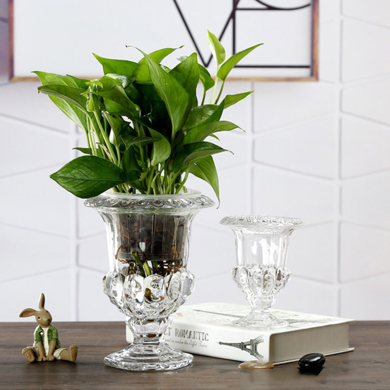 Clear Glass Flower Vase Stem P - огляд і ціна Desk Setup Plants