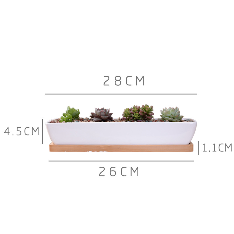 Long Rectangle White Ceramic S - огляд і ціна Desk Setup Plants