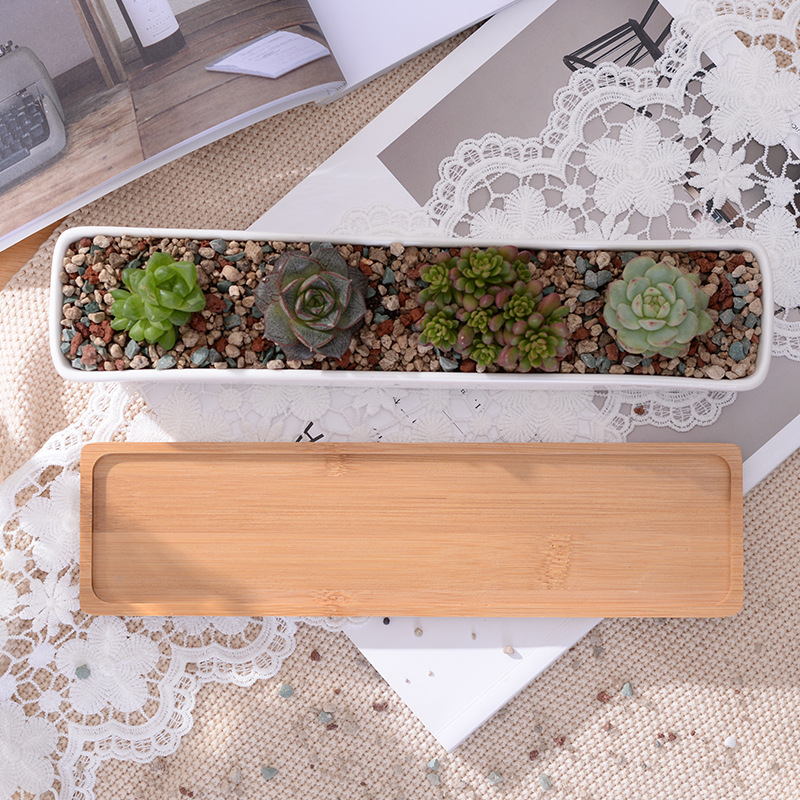 Long Rectangle White Ceramic S - огляд і ціна Desk Setup Plants