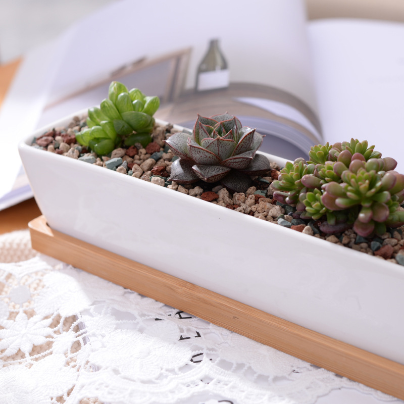 Long Rectangle White Ceramic S - огляд і ціна Desk Setup Plants