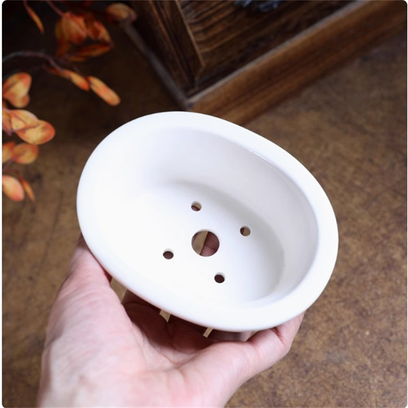 Porcelain White Oval Bonsai Po - огляд і ціна Desk Setup Plants