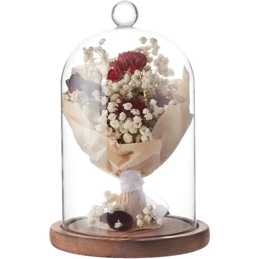 1pc 7x5 Inch Glass Dome Cloche - огляд і ціна Desk Setup Plants