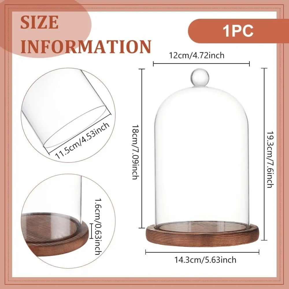 1pc 7x5 Inch Glass Dome Cloche - огляд і ціна Desk Setup Plants