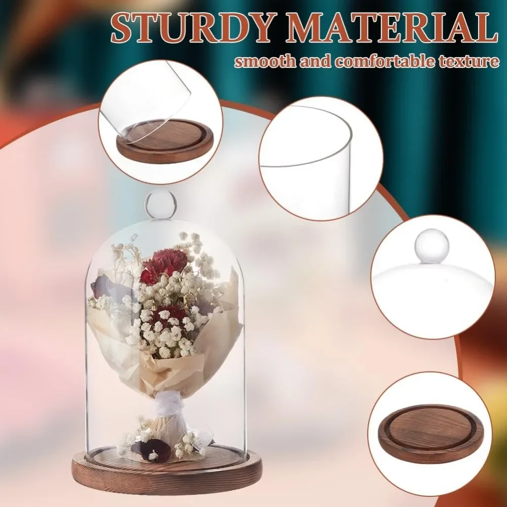 1pc 7x5 Inch Glass Dome Cloche - огляд і ціна Desk Setup Plants