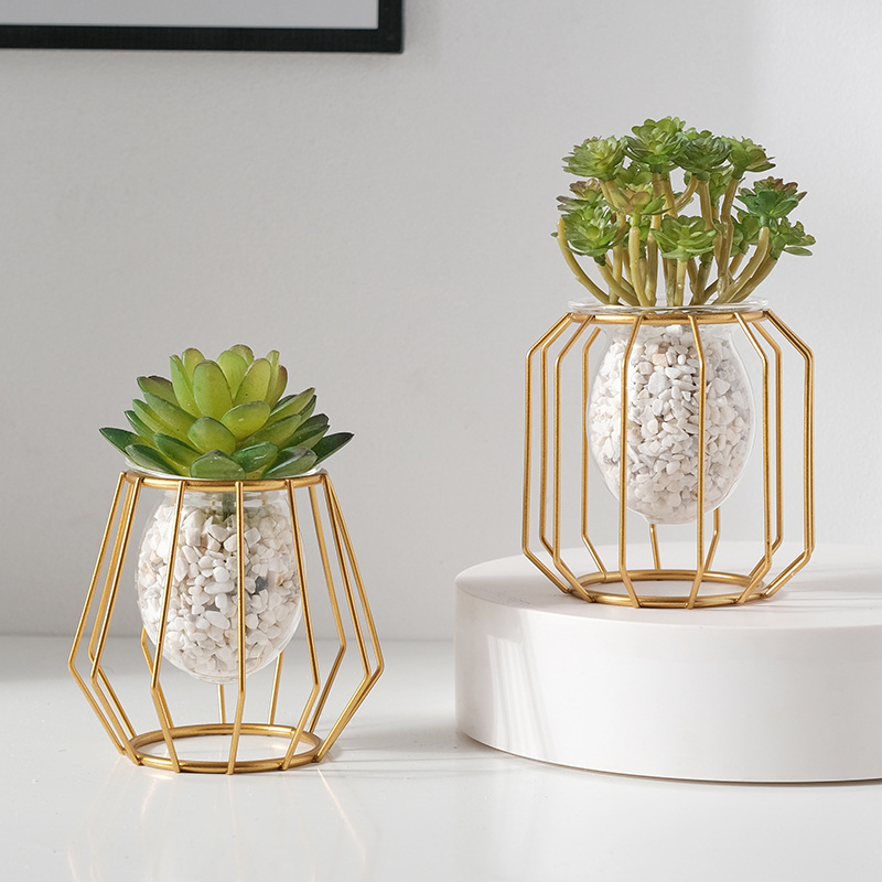 Home creative hydroponic vase  - огляд і ціна Desk Setup Plants